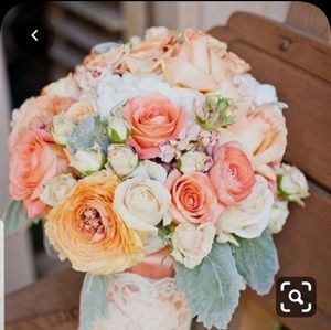 Meet your Posher, Gracia